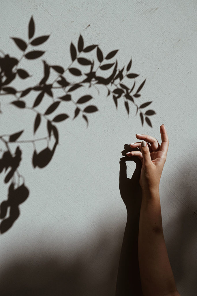 light and shadow